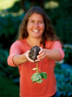 Deep Root Seedstarting System, Black 5 Deep Root Seedstarting System, Black -Outdoor Zone GSCOVSPR06D2 01