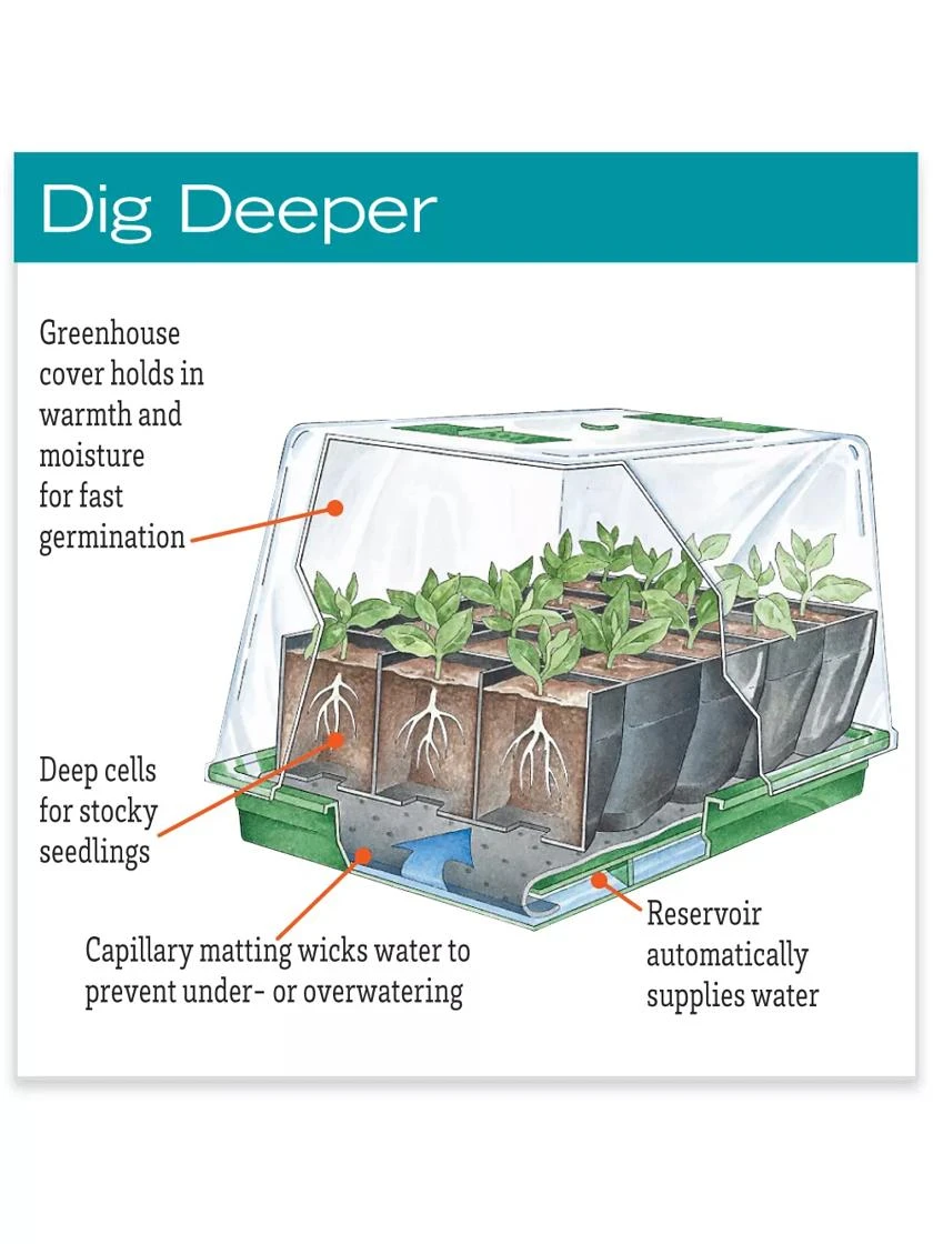 Deep Root Seedstarting System, Black 2 Deep Root Seedstarting System, Black - Image 2