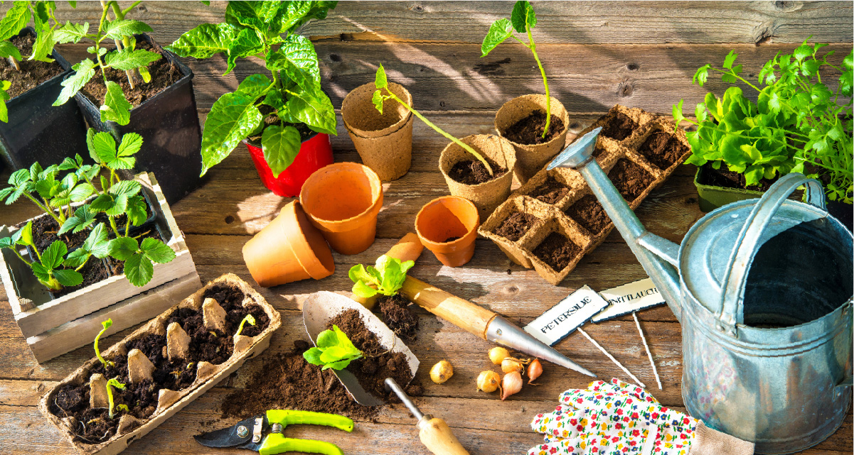 Outdoor Zone -Outdoor Zone dte post seeding 80