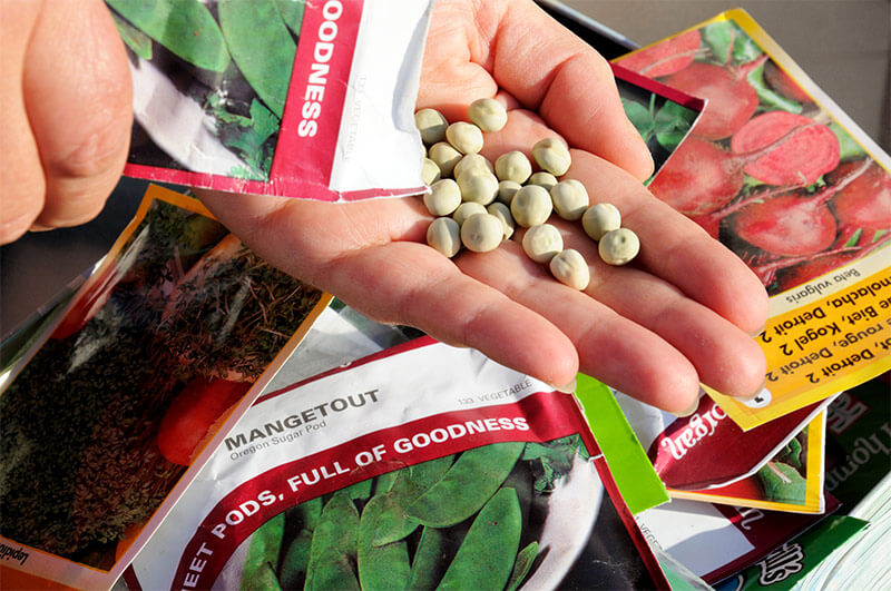 Outdoor Zone -Outdoor Zone seed packets 01